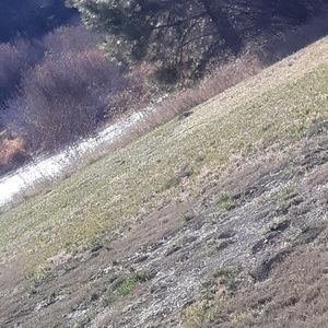 Meet your Posher, Jeffrey